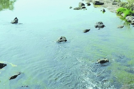 संग्रहित छायाचित्र