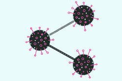 बाहेर विषाणू, मनात भयाणू!