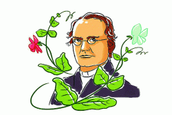 कुतूहल : जनुके.. जैवविविधतेचे जनक!