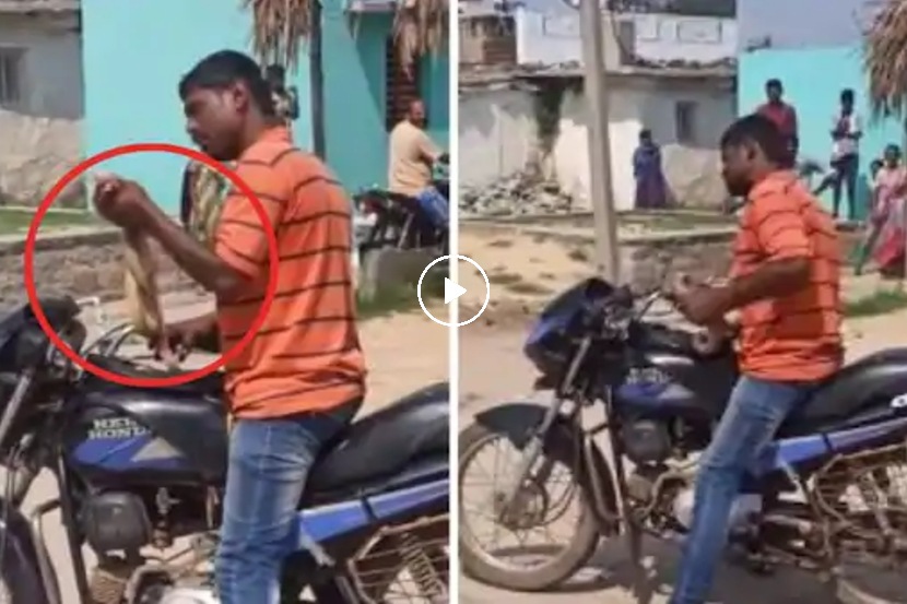 Video: ‘तू माझा रस्ता अडवण्याची हिंमत कशी केली?’ असं ओरडत दारुड्याने साप हातात उचलला आणि….
