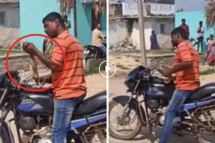 Video: ‘तू माझा रस्ता अडवण्याची हिंमत कशी केली?’ असं ओरडत दारुड्याने साप हातात उचलला आणि….