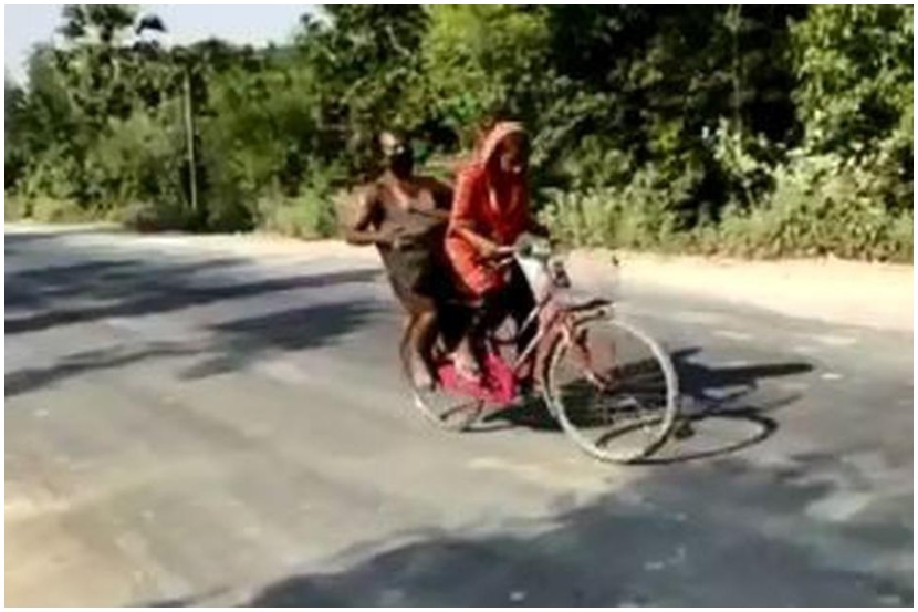 मानवतेचे झरे
