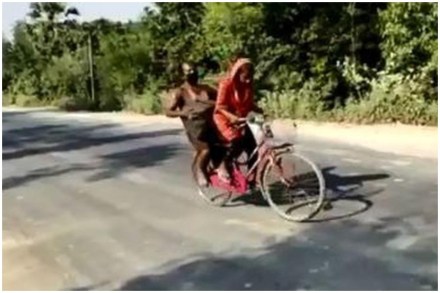 मानवतेचे झरे