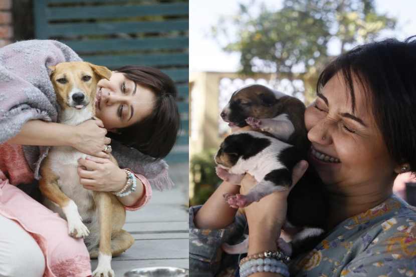 पाताल लोकमध्ये कुत्र्याचं नाव सावित्री का? नेटकरी म्हणतात…