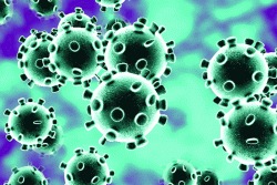 औरंगाबादमध्ये करोनाबाधितांची संख्या २४४