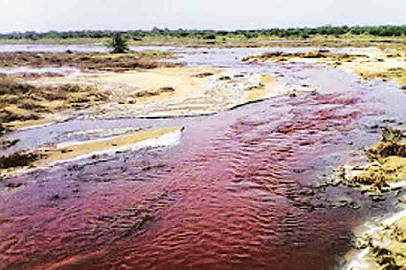 (संग्रहित छायाचित्र) (संग्रहित छायाचित्र)