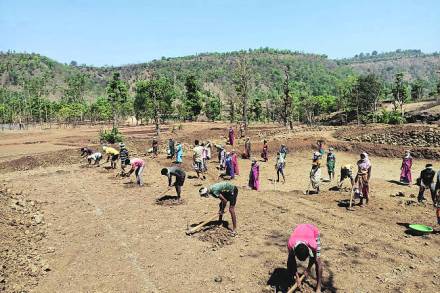 काम शोधण्यासाठी स्थलांतर होणारी अनेक कुटुंबे करोनाकाळात टाळेबंदी असल्याने बाहेर पडू शकत नसली तरी रोजगार हमी योजनेच्या माध्यमातून मोठय़ा प्रमाणात उपलब्ध असलेली कामे त्यांनी मागणी केल्याचे पाहावयास मिळाले.