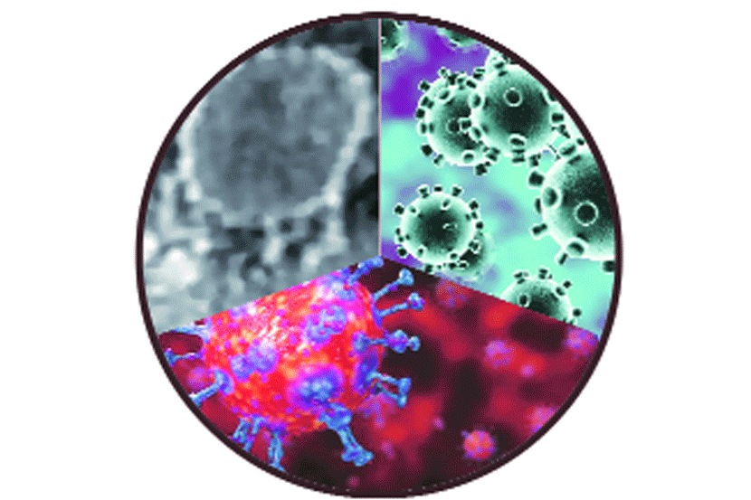 संग्रहित छायाचित्र संग्रहित छायाचित्र