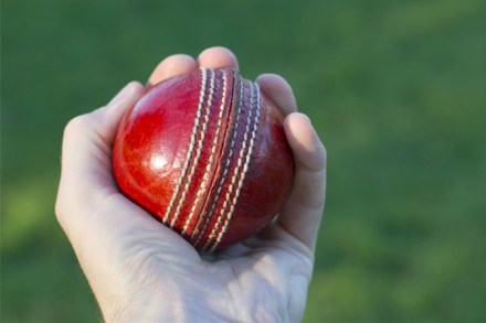क्रिकेट (प्रतिकात्मक फोटो)