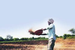 फक्त ३ रुपये ४६ पैशांसाठी बँकेने शेतकऱ्याला करायला लावली १५ किमीची पायपीट