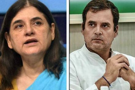 केरळमध्ये गर्भवती हत्तीणीचा मृत्यू, मनेका गांधी संतापल्या; राहुल गांधींवर साधला निशाणा