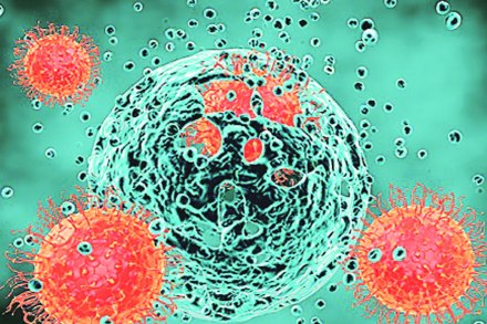 संग्रहित छायाचित्र