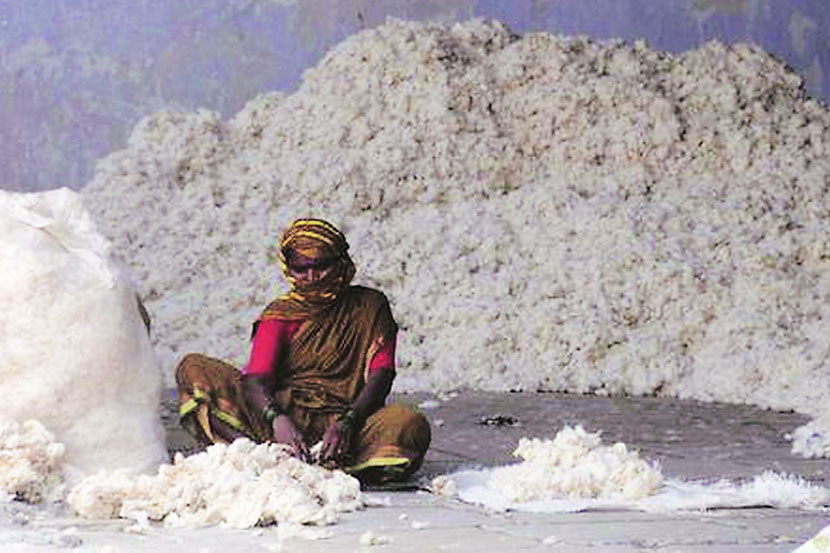 संग्रहित छायाचित्र संग्रहित छायाचित्र