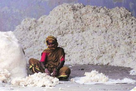 संग्रहित छायाचित्र