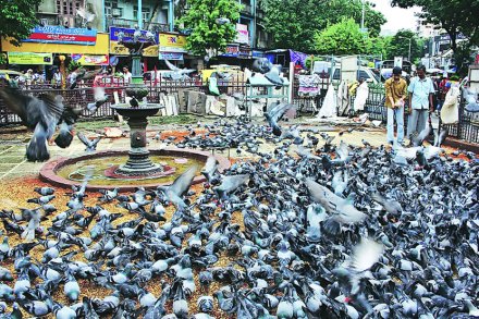 संग्रहित छायाचित्र