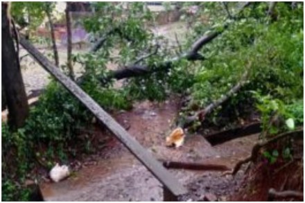 संग्रहीत प्रतिकात्मक छायाचित्र