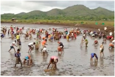 लाखो रुपयांच्या कोळंबींची प्रकल्पांमधून भरदिवसा लूट; प्रकल्प मालक हतबल! लाखो रुपयांच्या कोळंबींची प्रकल्पांमधून भरदिवसा लूट; प्रकल्प मालक हतबल!