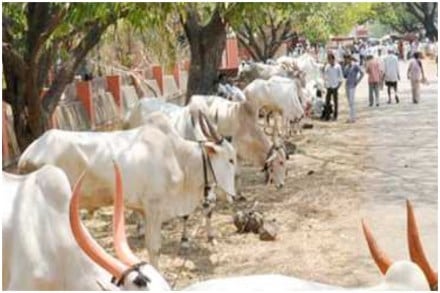 संग्रहीत प्रतिकात्मक छायाचित्र संग्रहीत प्रतिकात्मक छायाचित्र