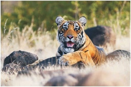 संग्रहीत प्रतिकात्मक छायाचित्र