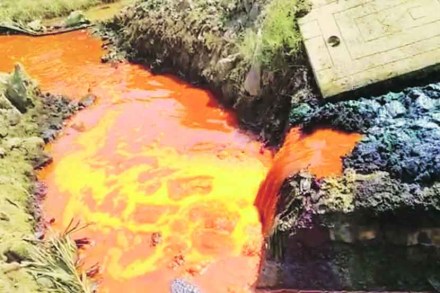 तारापूरच्या प्रदूषणात दिवसेंदिवस वाढ