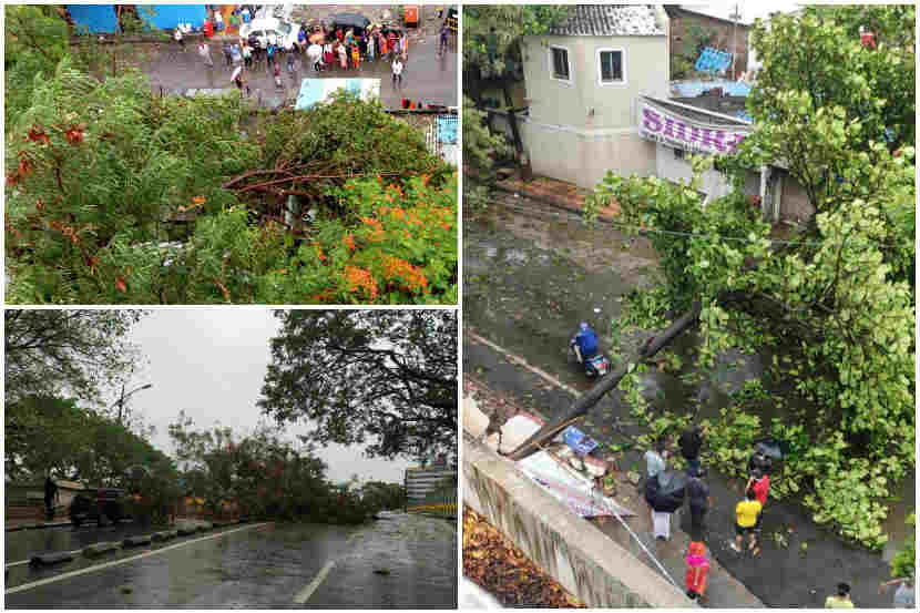 पुणे : चक्रीवादळाच्या पार्श्वभूमीवर शहरात सगल दोन दिवस पावसाने दमदार हजेरी लावली असून विविध भागात त्यामुळे झाडपटीच्या घटना घडल्या आहेत.