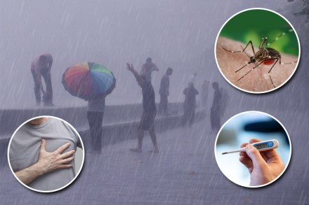 पावसाळ्यात होणाऱ्या ‘या’ आजारांपासून राहा सावध!