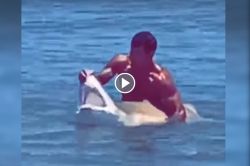 Viral Video : समुद्रात पोहणाऱ्याच्या हाताला अचानक लागला विशालकाय शार्क, थेट जबडा पकडून…