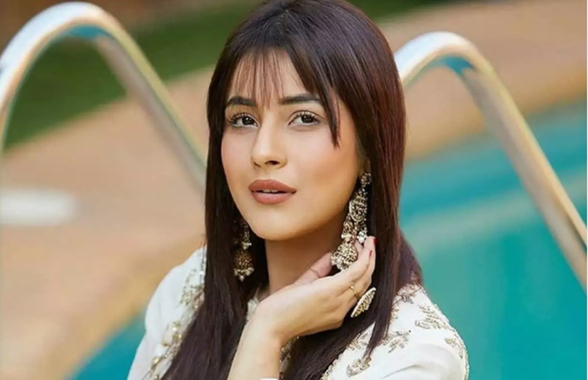 shehnaz-gill-1