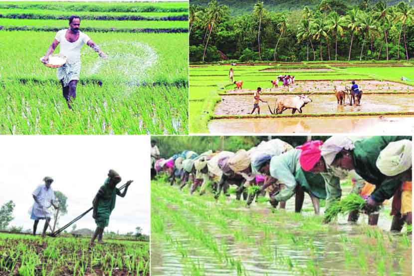 ‘एक शेत, अनेक पिके’ संकटकाळची गरज!
