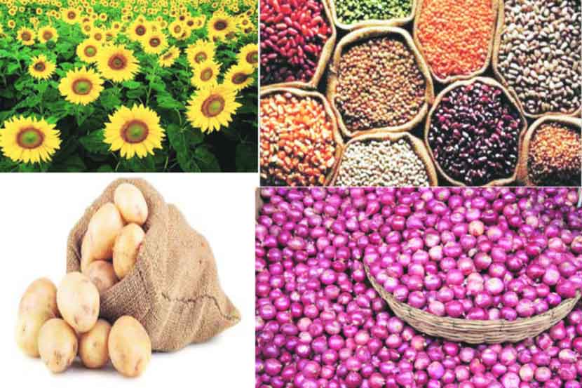 दीडपट हमीभाव आणि ‘जीवनावश्यक’ला लगाम!