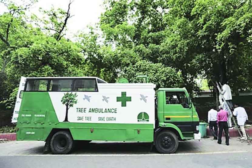 कुतूहल : वृक्षवाहिका!