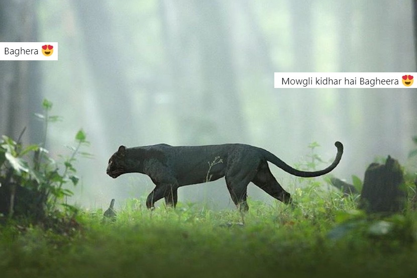 (Photo: Shaaz Jung, tweeted by Earth)