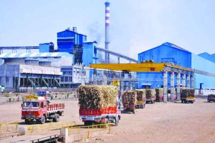 संग्रहीत प्रतिकात्मक छायाचित्र संग्रहीत प्रतिकात्मक छायाचित्र