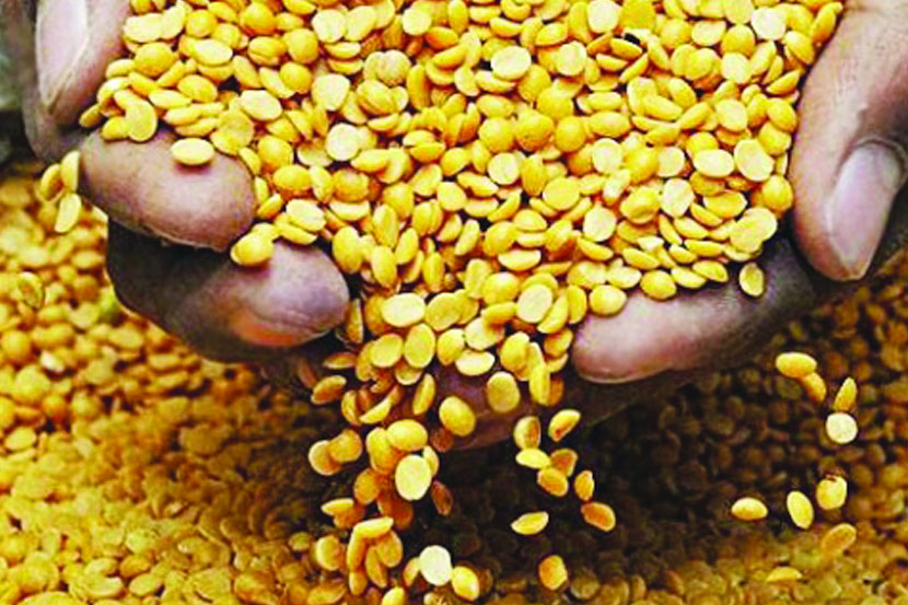 संग्रहित छायाचित्र
