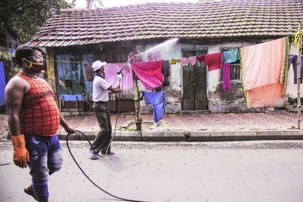 संग्रहित छायाचित्र