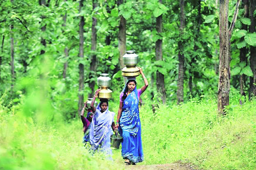 संग्रहित छायाचित्र