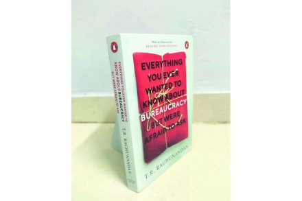 ‘एव्हरीथिंग यू एव्हर वाँटेड टु नो अबाऊट ब्युरोक्रसी, बट वेअर अफ्रेड टु आस्क’

लेखक : टी. आर. रघुनंदन

प्रकाशक : पेंग्विन बुक्स

पृष्ठे : ३०२, किंमत : ३९९ रुपये