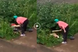 Video: झुडपांमध्ये जोडप्याचे सुरू होते अश्लील चाळे, संतापलेल्या आजीबाई आल्या आणि…