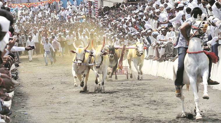 संग्रहित छायाचित्र