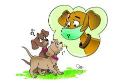 लॉकडाऊनमधली मैत्री