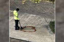 जितका सुंदर फोटो तितकीच सुंदर कथा… जाणून घ्या दुबईमध्ये व्हायरल होणाऱ्या भारतीयाच्या फोटोची गोष्टी