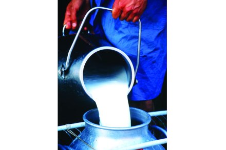 (संग्रहित छायाचित्र) (संग्रहित छायाचित्र)