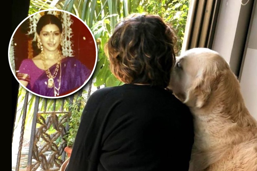 नऊवारी साडीतील ‘या’ अभिनेत्रीला ओळखलंत का? नऊवारी साडीतील ‘या’ अभिनेत्रीला ओळखलंत का?