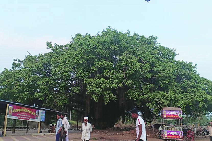 संग्रहित छायाचित्र
