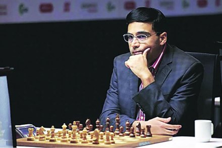 संग्रहित छायाचित्र