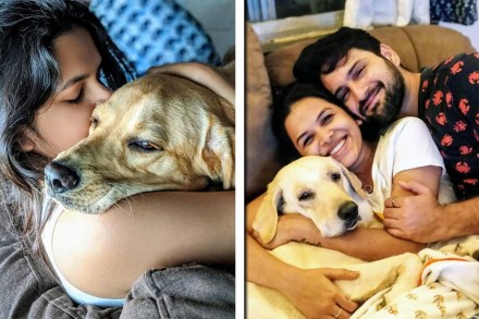मिताली मयेकर झाली ‘डॉग कम्युनिकेटर’; प्राण्यांशी त्यांच्याच भाषेत साधते संवाद