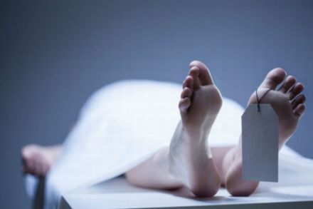 प्रतिनिधिक छायाचित्र