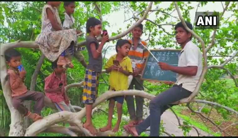 नंदूरबारमधील गावात झाडावर भरते मुलांची शाळा, जाणून घ्या काय आहे कारण…