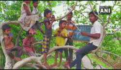 नंदूरबारमधील गावात झाडावर भरते मुलांची शाळा, जाणून घ्या काय आहे कारण…