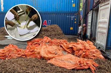 न्हावा-शेवा बंदरातून १९१ किलो ड्रग्स जप्त, आंतरराष्ट्रीय बाजारात १ हजार कोटी किंमत